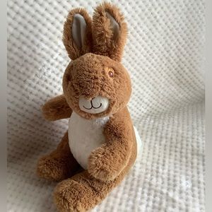 Peter Rabbit Beatrix Potter Plush Bunny Rabbit Stuffed Animal Embroidered Eyes